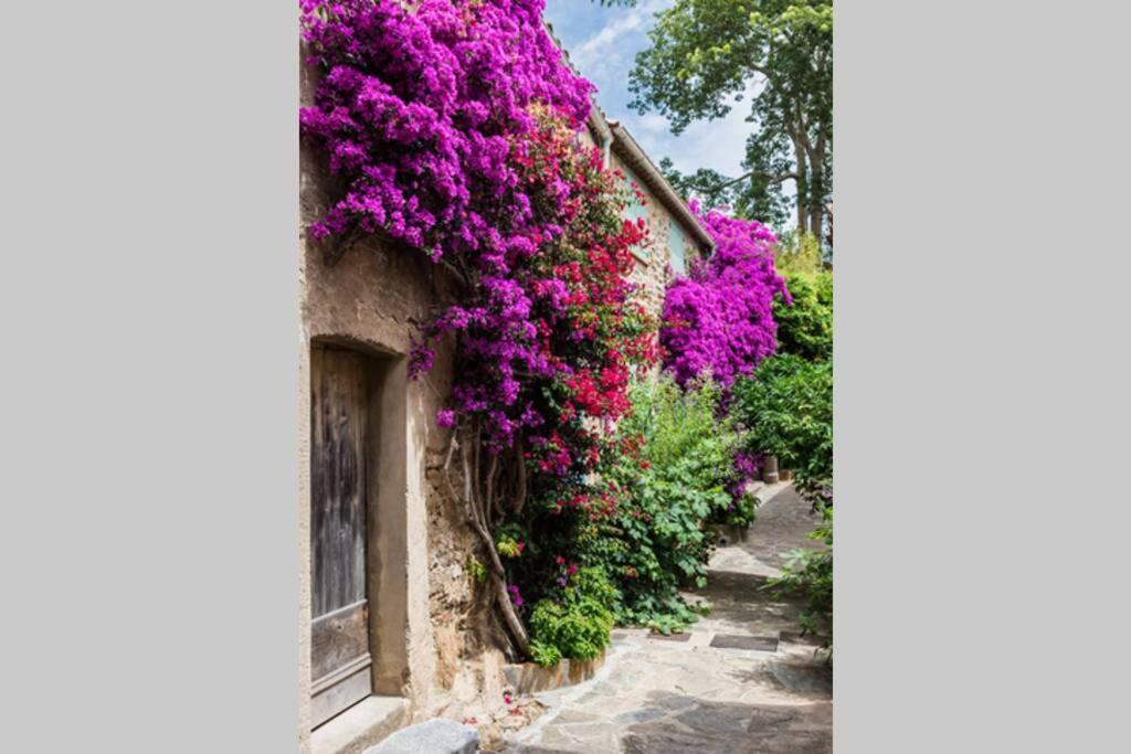 Coquet 2 Pieces Coeur Vieil Antibes Apartment Luaran gambar